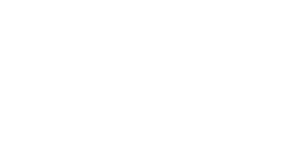 Solidarity Mental Health Services logo